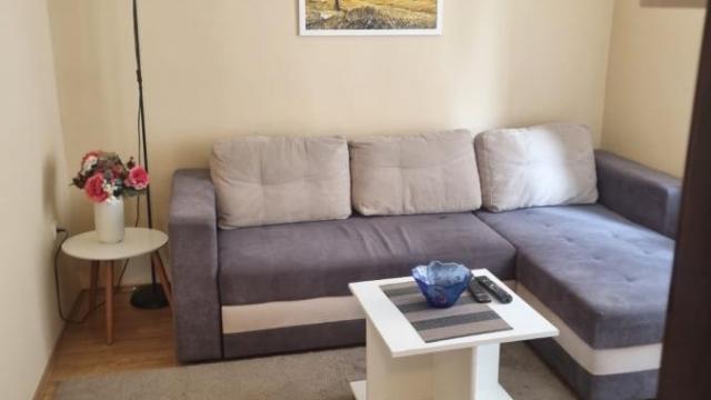 Stan, Jednoiposoban, Izdavanje, 40m2, Braće Jerković, Voždovac, Čedomilja Mitrovića