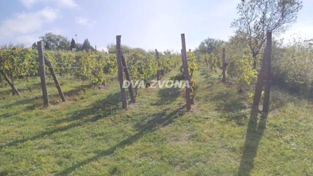 Kuća, Dvosoban, Prodaja, 40m2, Novi Slankamen, Okolno mesto, Indjija