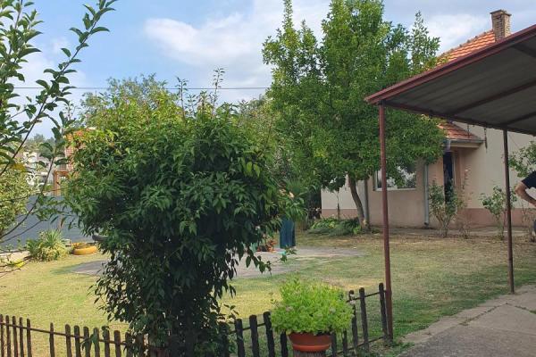 prodaja, kuca,
vrdnik-opstina-irig, 969796, petosoban