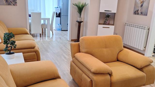 Stan, Petosoban i veći, Izdavanje, 270m2, Nikole Doksata