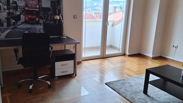 Stan, Petosoban i veći, Izdavanje, 270m2, Nikole Doksata