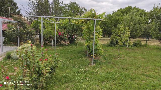 Kuća, Dvosoban, Prodaja, 30m2, Ribnjak, Petrovaradin, Kamenicki put