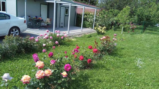 Kuća, Dvosoban, Prodaja, 30m2, Ribnjak, Petrovaradin, Kamenicki put