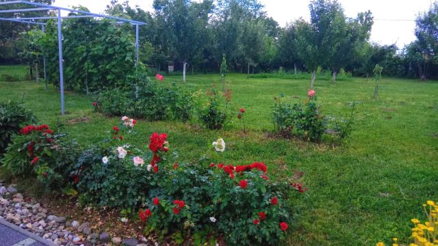 Kuća, Dvosoban, Prodaja, 30m2, Ribnjak, Petrovaradin, Kamenicki put