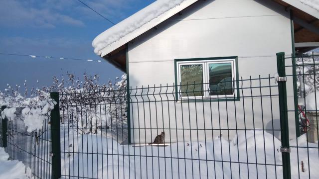 Kuća, Dvosoban, Prodaja, 30m2, Ribnjak, Petrovaradin, Kamenicki put
