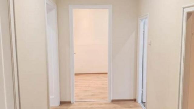 Stan, Trosoban, Izdavanje, 70m2, Ekonomski fakultet, Savski venac, Lička