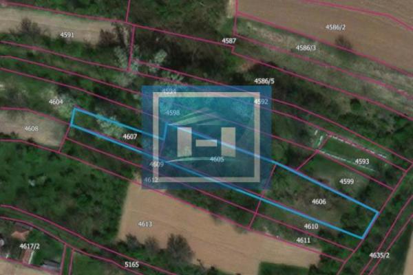 prodaja, plac,
novo-laniste-opstina-jagodina, 972040, plac