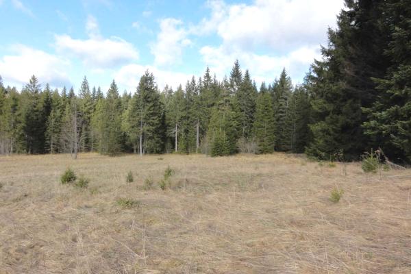 prodaja, plac,
tara, 972294, konjska-reka