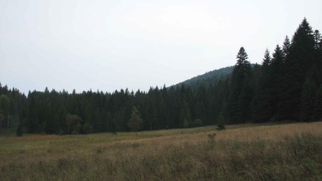 Plac, Prodaja, m2, Konjska Reka