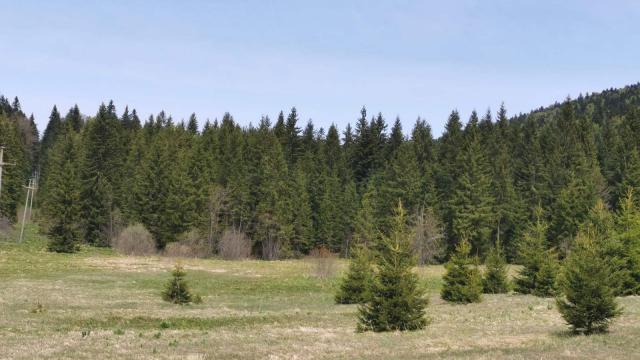 Plac, Prodaja, m2, Konjska Reka
