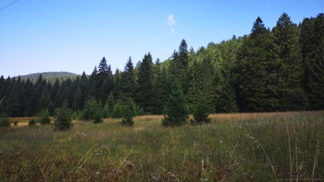 Plac, Prodaja, m2, Konjska Reka
