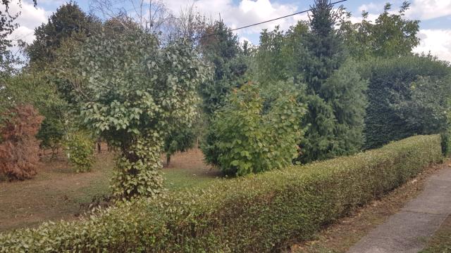 Kuća, Dvosoban, Prodaja, 72m2, Sombor