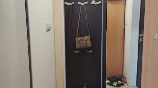 Stan, Jednosoban, Izdavanje, 24m2, Zemun polje, Zemun, Andrije Habuša
