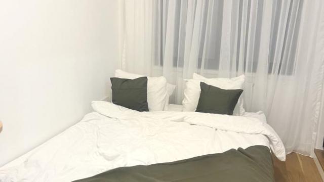 Stan, Dvosoban, Izdavanje, 45m2, Blok 67a (A blok), Novi Beograd, Jurija Gagarina
