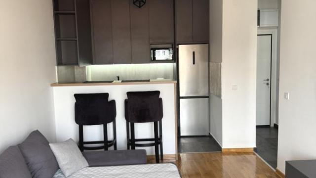Stan, Jednoiposoban, Izdavanje, 43m2, Crveni krst, Vračar, Jadranska