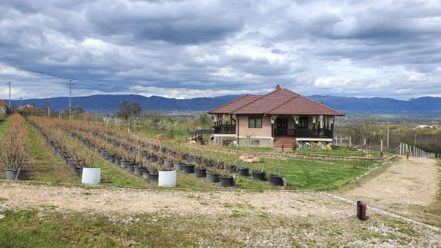 Kuća, četvorosoban, Prodaja, 250m2, Žbevac, Okolno mesto, Zbevac