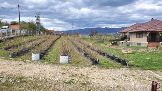 Kuća, četvorosoban, Prodaja, 250m2, Žbevac, Okolno mesto, Zbevac