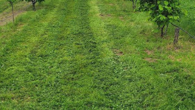 Kuća, četvorosoban, Prodaja, 250m2, Žbevac, Okolno mesto, Zbevac