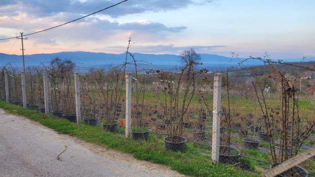 Kuća, četvorosoban, Prodaja, 250m2, Žbevac, Okolno mesto, Zbevac