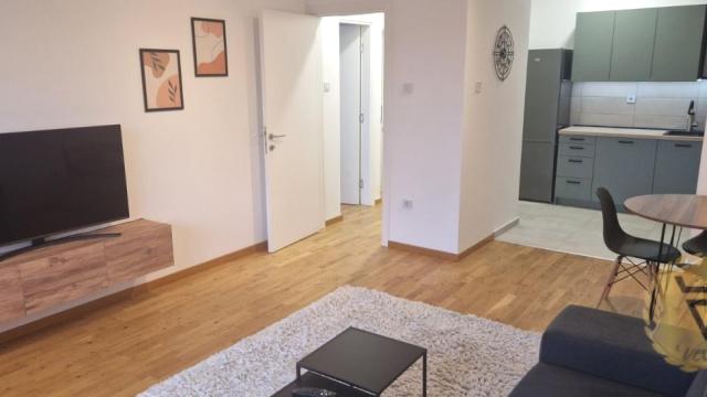 Stan, Dvosoban, Izdavanje, 50m2, Mirijevo, Zvezdara, Dva bela goluba