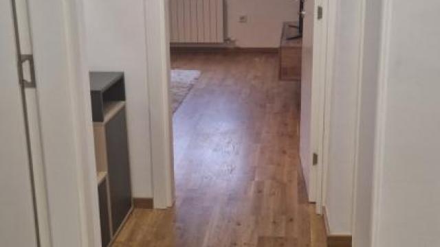 Stan, Dvosoban, Izdavanje, 50m2, Mirijevo, Zvezdara, Dva bela goluba