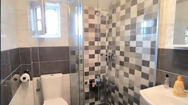 Stan, Trosoban, Izdavanje, 80m2, Altina, Zemun, Abebe Bikile