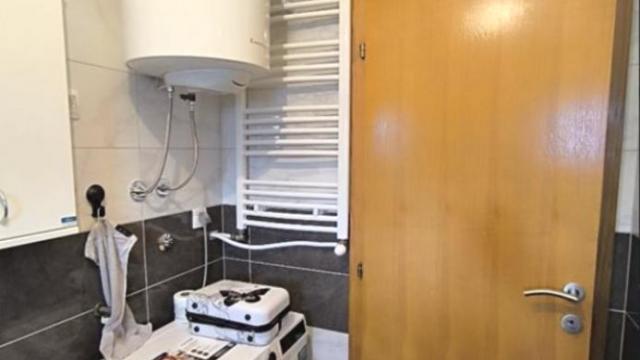 Stan, Trosoban, Izdavanje, 80m2, Altina, Zemun, Abebe Bikile