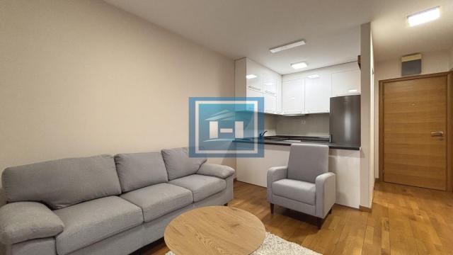 Stan, Jednosoban, Izdavanje, 42m2, Centar, Gradska lokacija, Jagodina
