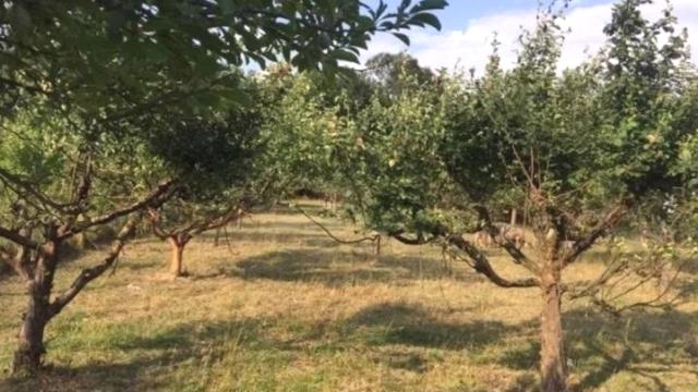 Kuća, Trosoban, Prodaja, 49m2, Obrež, Okolno mesto, Obrez