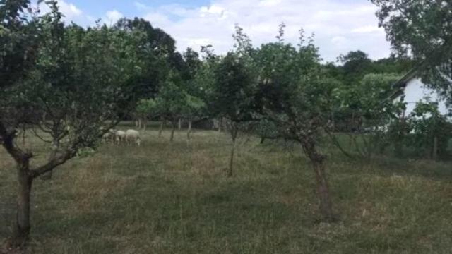 Kuća, Trosoban, Prodaja, 49m2, Obrež, Okolno mesto, Obrez