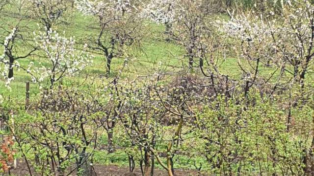 Kuća, Trosoban, Izdavanje, 51m2, Ritopek, Grocka, Becarevo Brdo