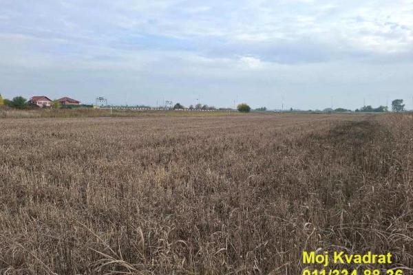 prodaja, plac,
stara-bezanija-novi-beograd-beograd, 977158, plac