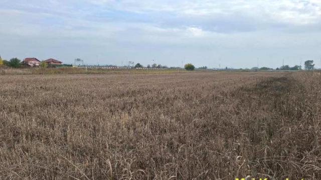 Plac, Prodaja, m2, Stara Bežanija, Novi Beograd, Beograd