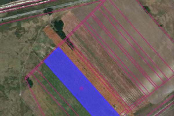 prodaja, plac,
zabalj, 977400, zabalj