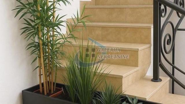 Stan, Dvosoban, Prodaja, 53m2, Botanička bašta, Palilula, Bulevar despota Stefana