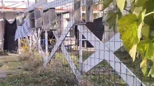 Kuća, četvorosoban, Izdavanje, 180m2, Ostružnica, Čukarica, Savska