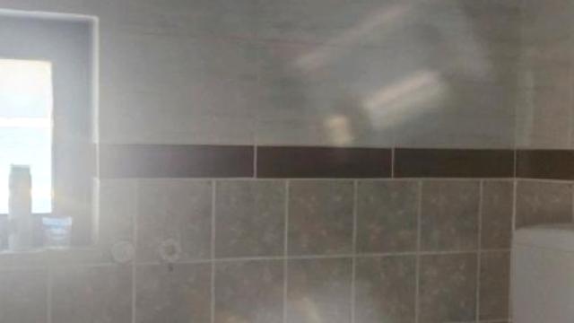 Kuća, Petosoban, Izdavanje, 120m2, Borča, Palilula, Devička