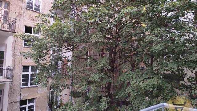 Stan, Garsonjera, Izdavanje, 31m2, Djeram pijaca, Zvezdara, Đevđelijska