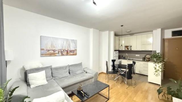 Stan, Dvosoban, Izdavanje, 48m2, Dimitrija Tucovića