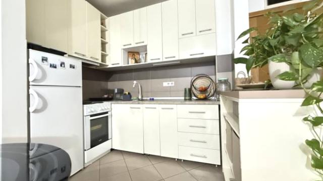 Stan, Dvosoban, Izdavanje, 48m2, Dimitrija Tucovića