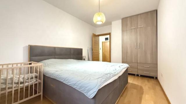 Stan, Dvosoban, Izdavanje, 48m2, Dimitrija Tucovića