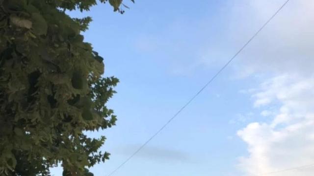 Stan, Dvosoban, Prodaja, 40m2, Branka Radicevica 2