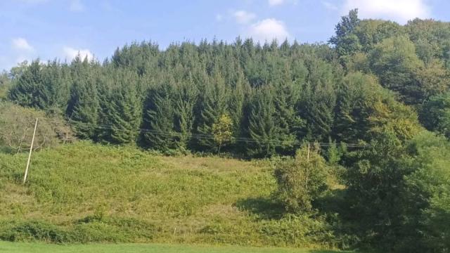 Kuća, četvorosoban, Prodaja, 80m2, Solotuša, Okolno mesto, Solotusa