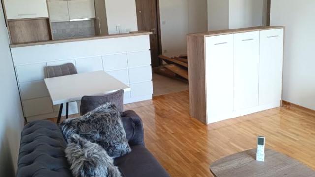 Stan, Dvosoban, Izdavanje, 60m2, Bogoslovija, Palilula, Dragoslava Srejovića