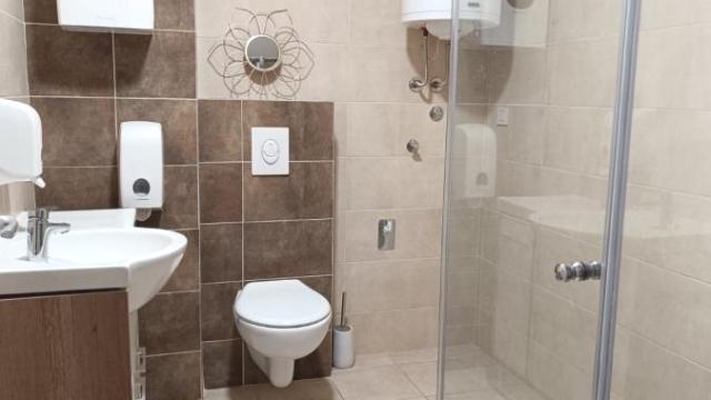 Stan, Dvosoban, Izdavanje, 60m2, Bogoslovija, Palilula, Dragoslava Srejovića