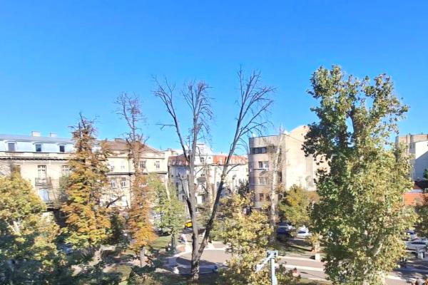 prodaja, stanova,
kalenic-pijaca-vracar-beograd, 980912, dvosoban-kursulina