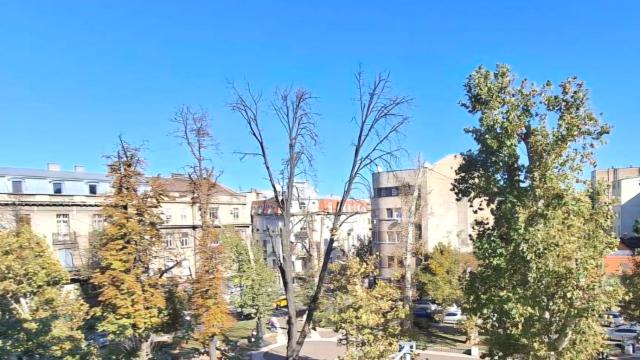 Stan, Dvosoban, Prodaja, 51m2, Kalenić pijaca, Vračar, Kursulina