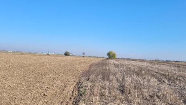 Plac, Prodaja, m2, Jakovo, Surčin, Beograd