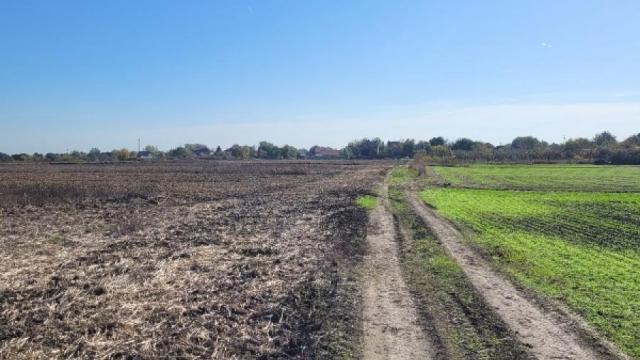 Plac, Prodaja, m2, Jakovo, Surčin, Beograd