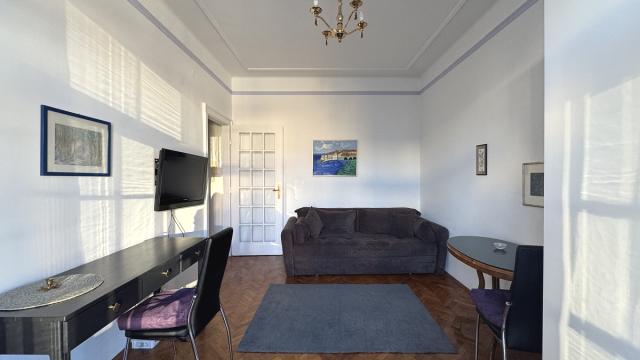 Stan, Garsonjera, Izdavanje, 24m2, Birčaninova